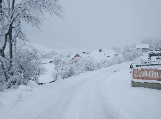 Bed & Breakfast Gaestehaus Moser *