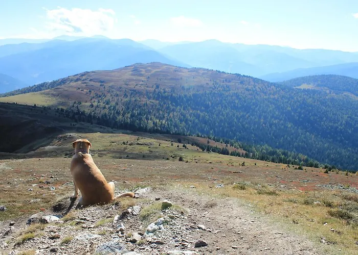 Bed & Breakfast Gastehaus Moser